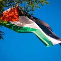 palestine-flags