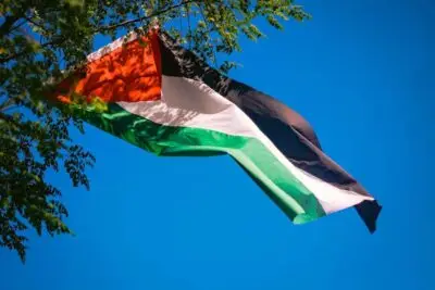 palestine-flags